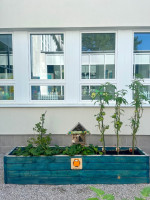 /album/galeria-atria/image6-jpeg/